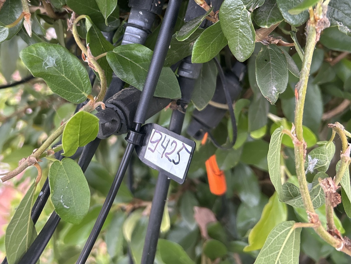 Numbered drop tag secured to a fibre drop cable at a terminal, as reviewed by the platform